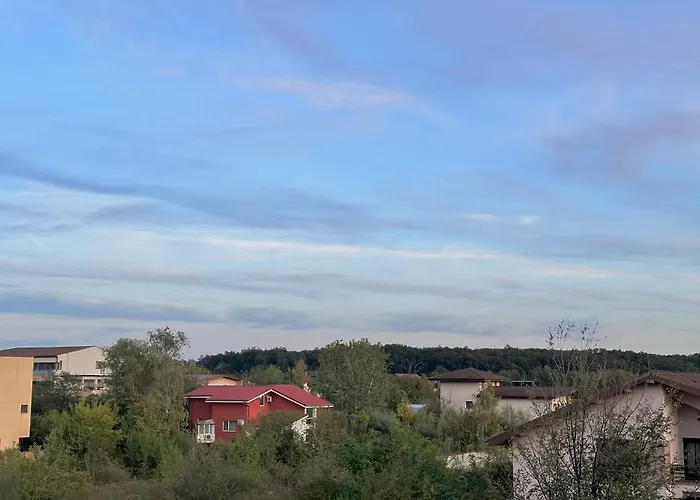 City Life, Forest Vibes