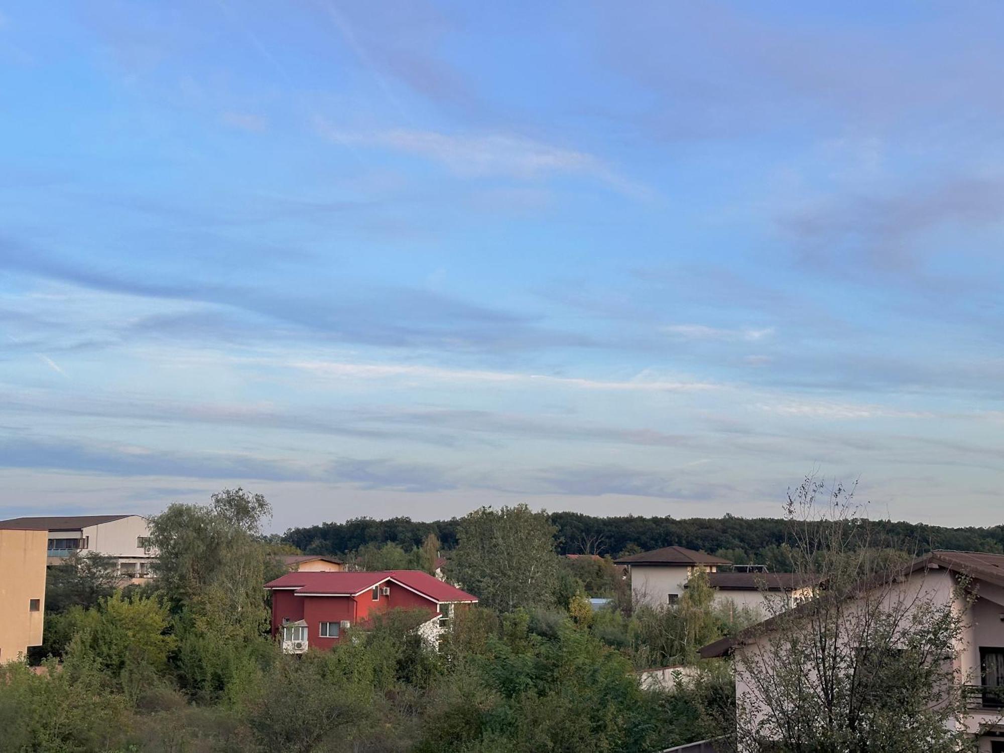 Life, Forest Vibes Apartamento Bucarest